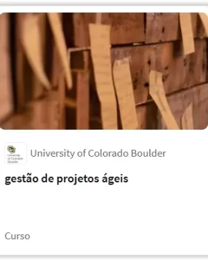 Gestão de projetos ágeis (Agile)